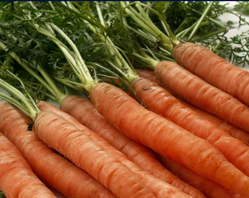 ZÖLDSÉGEK - SÁRGARÉPA