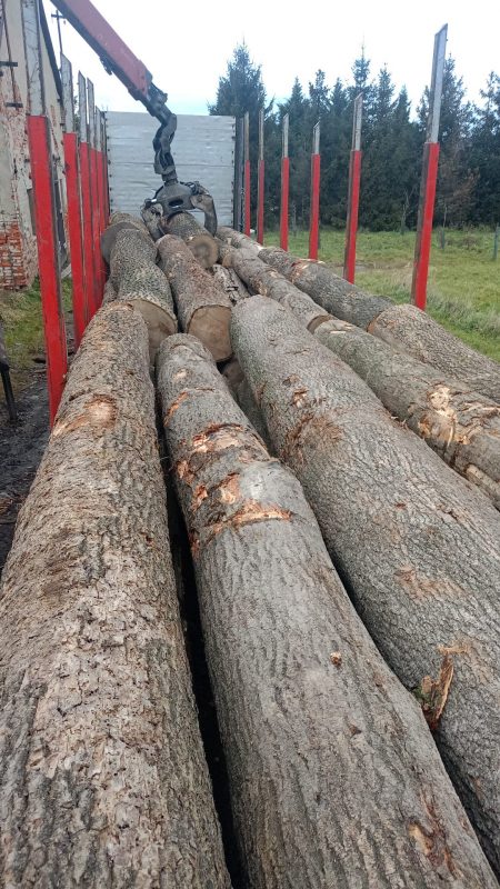 KEREKTETT HAMIS FA KÉRKEL